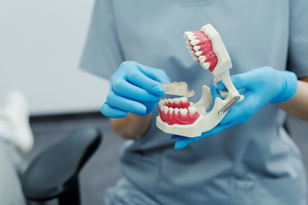 An image of a dentist holding a teeth model